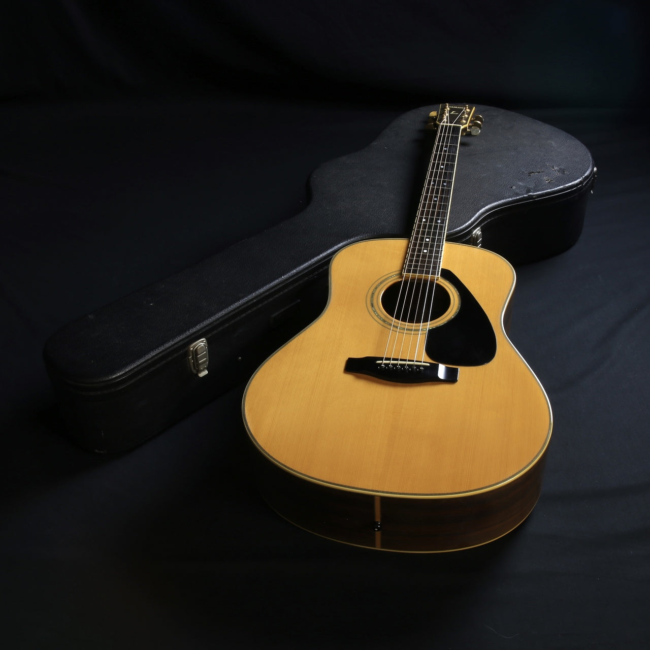 Acoustic Guitar