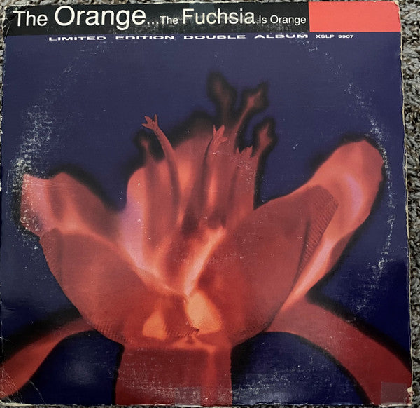 The Fuchsia Is Orange
