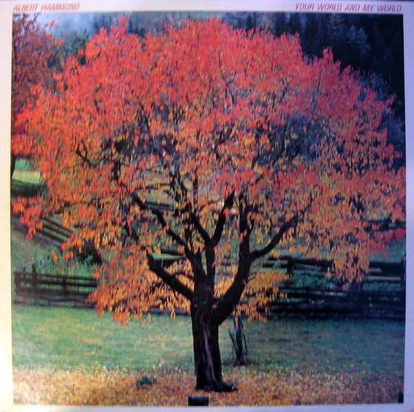 Your World And My World