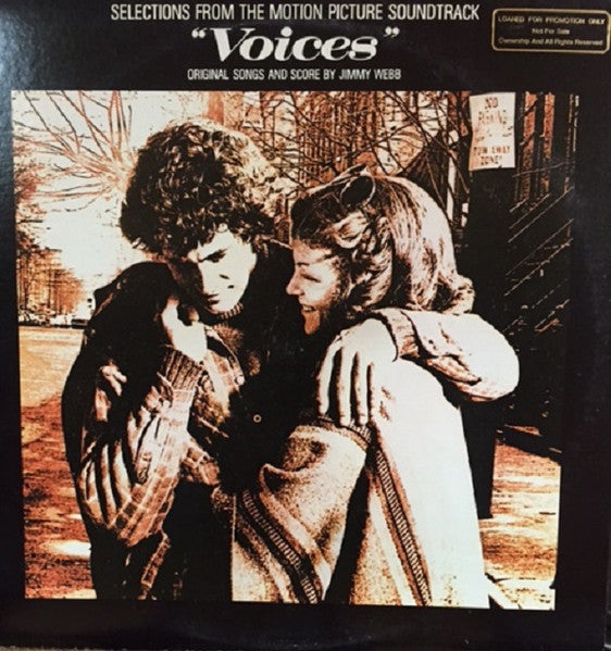 Selections From The Motion Picture Soundtrack "Voices"