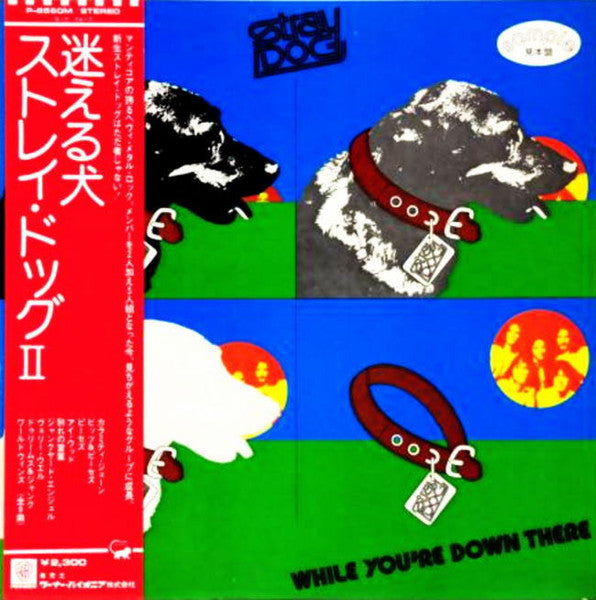 While You're Down There