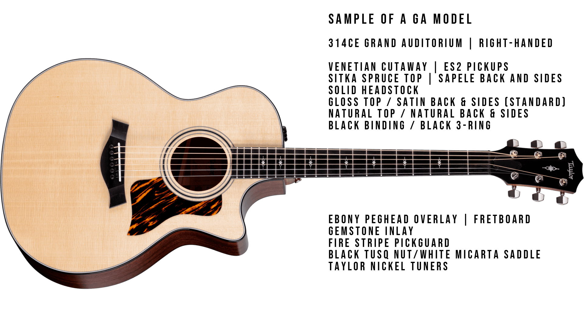 Taylor Custom Select Program - MION 2025 -