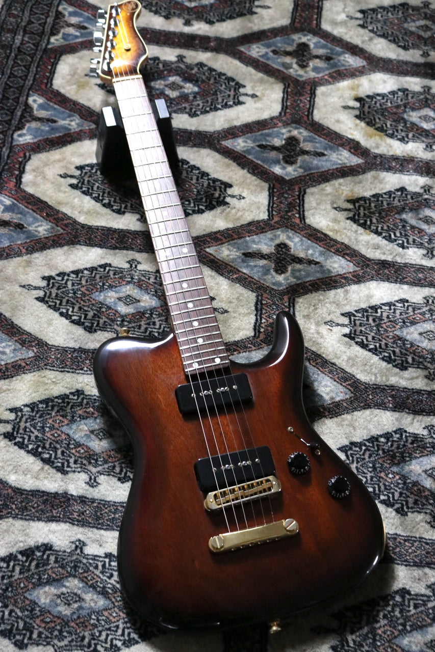 Valley Arts Custom Pro USA Larry carlton