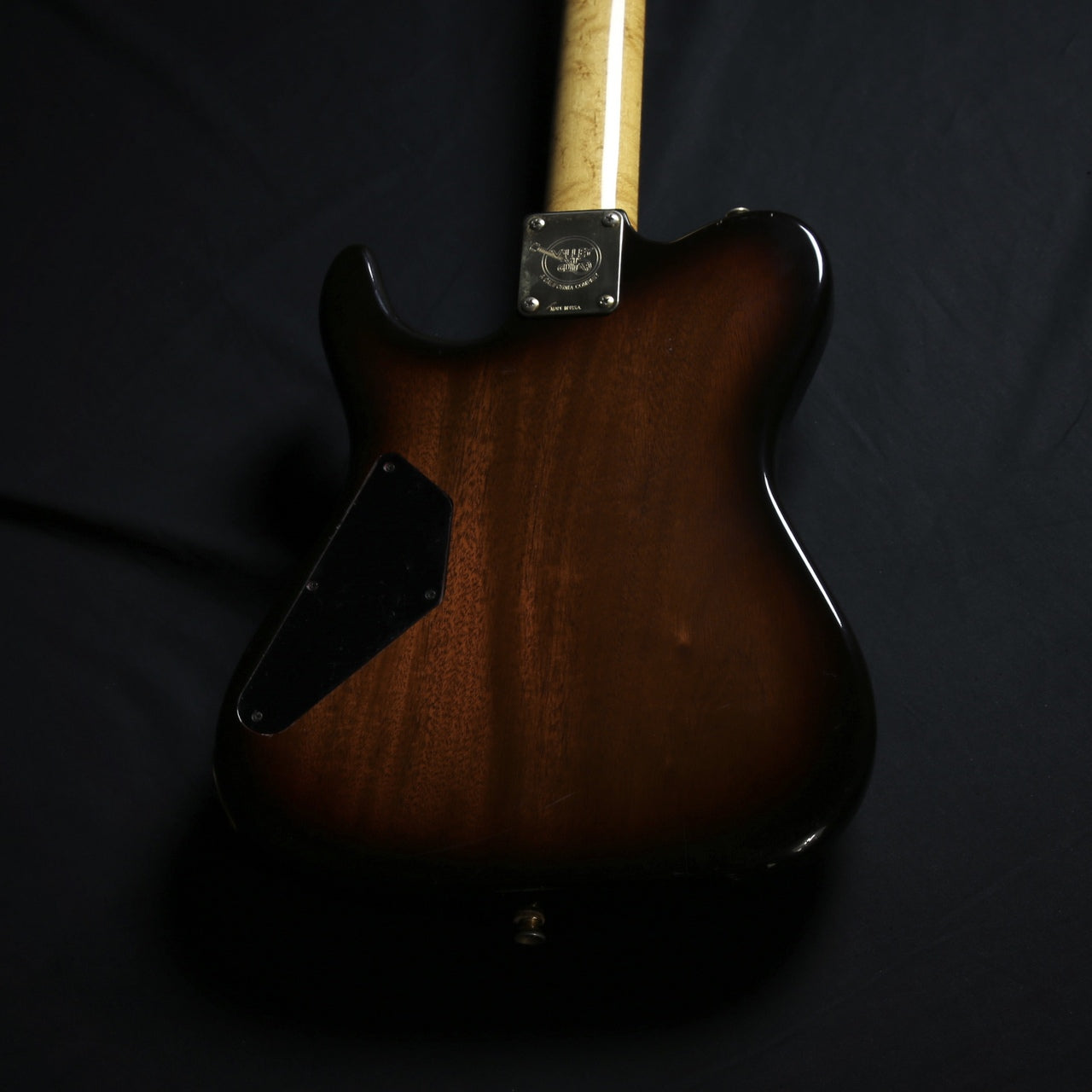 Valley Arts Custom Pro USA Larry carlton