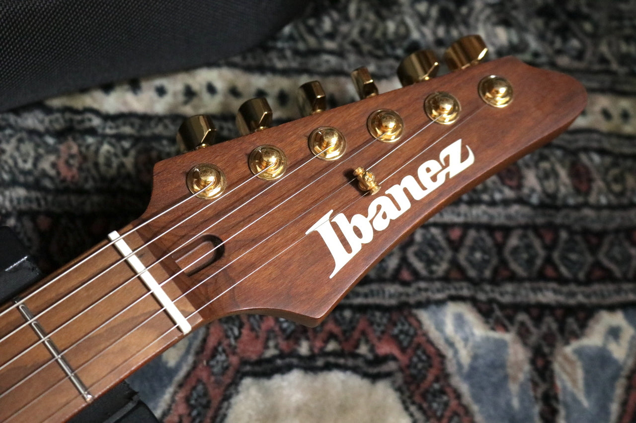 Ibanez SLM10-TRM T column S-pa series t Wait S-coat t Wait S-coat (Walk lyp here) S-coat t l 2019