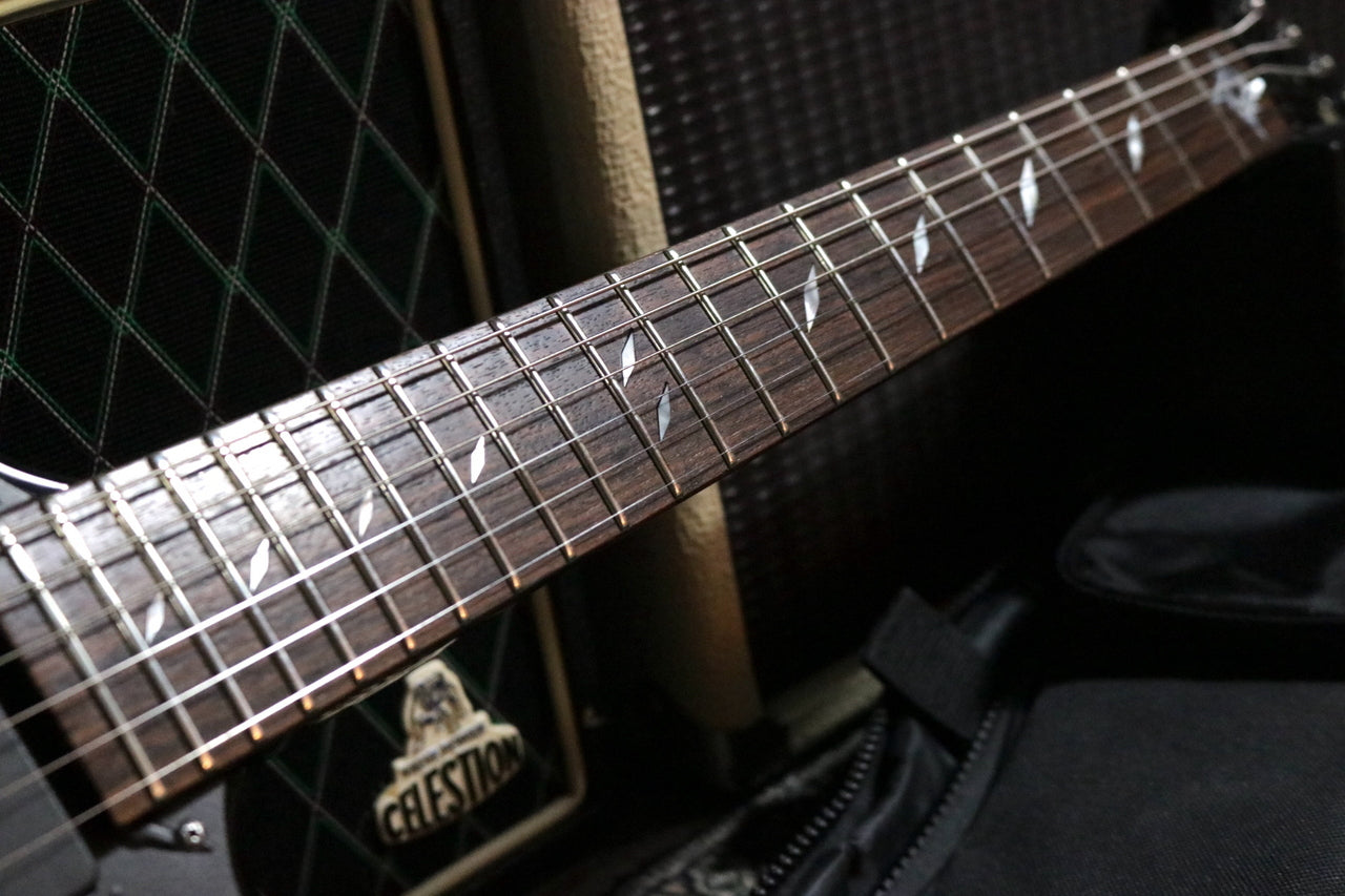 ESP JH-2 (James Hetfield Diamond Plate Explorer) Limited Model