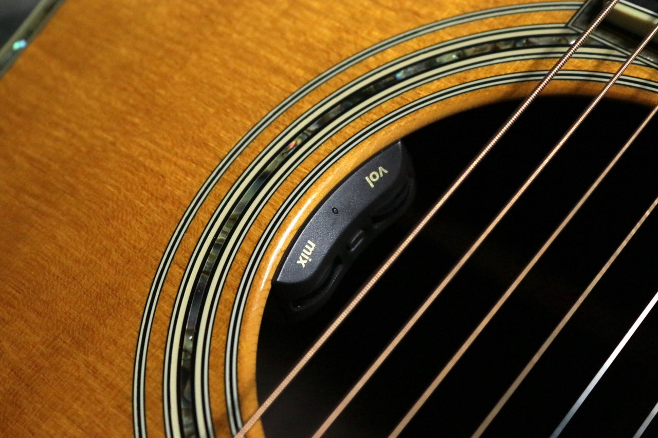 Martin D-42 2005 w/ L.R.Baggs HiFi Duet