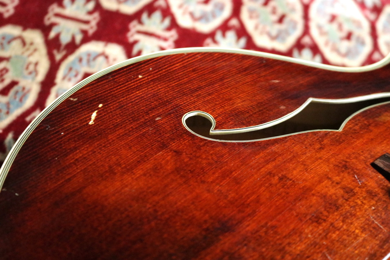 Eastman A R810 back Anti-Queen Re d