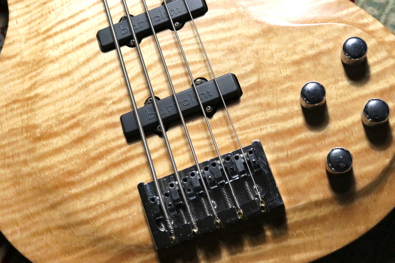 Giffin Guitars S single hit rd.T.L.S 5st Punishment s 2006