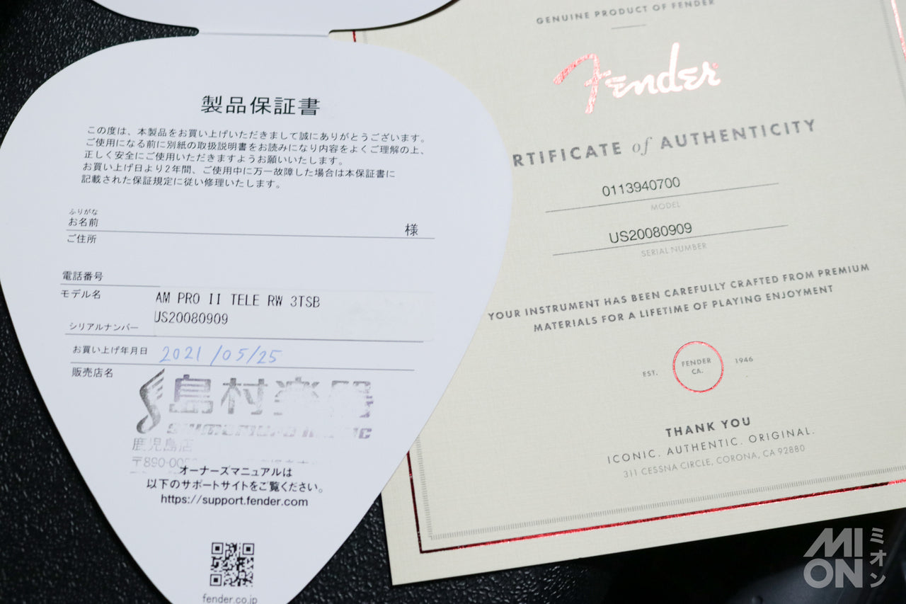 Fender American P-Road Fé Salt L Good Treat RW 3-koro Rst 2022