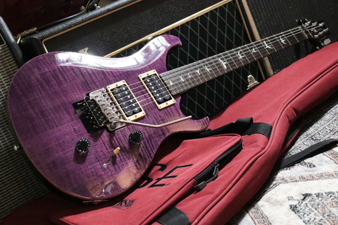 Paul Reed Smith(PRS) SE Floyd Custom24 FR Amethyst 2014