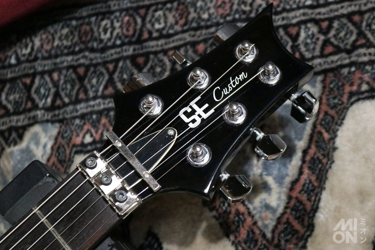 Paul Reed Smith(PRS) SE Floyd Custom24 FR Amethyst 2014