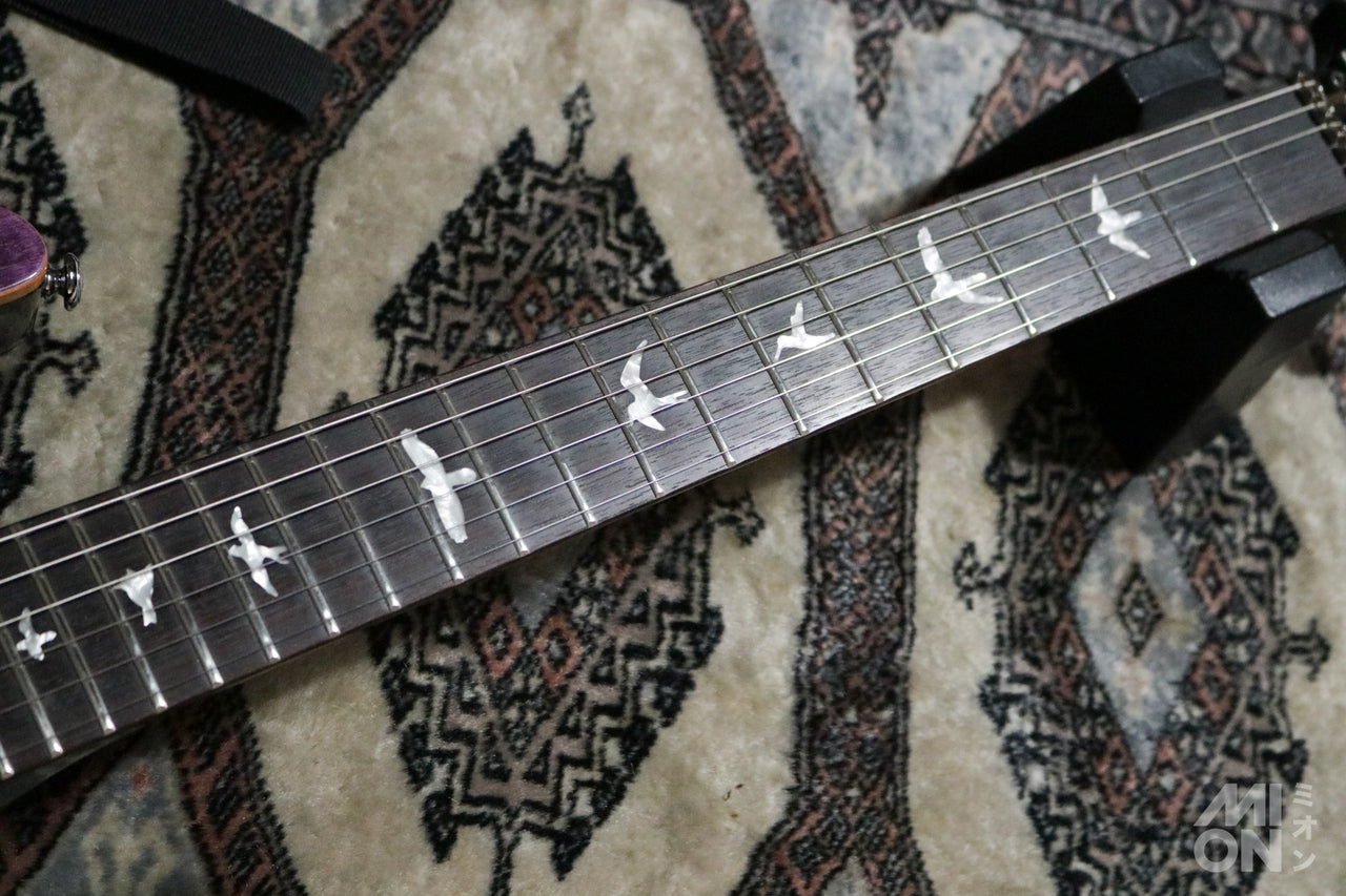 Paul Reed Smith(PRS) SE Floyd Custom24 FR Amethyst 2014