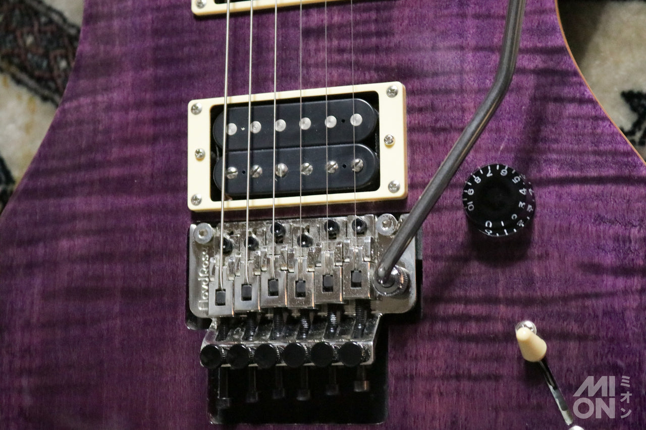 Paul Reed Smith(PRS) SE Floyd Custom24 FR Amethyst 2014