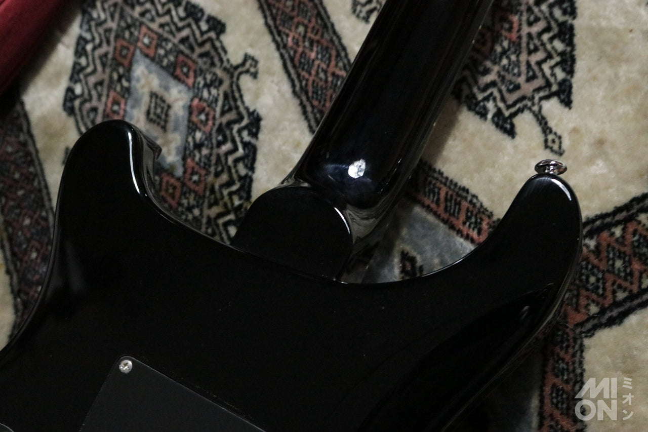 Paul Reed Smith(PRS) SE Floyd Custom24 FR Amethyst 2014