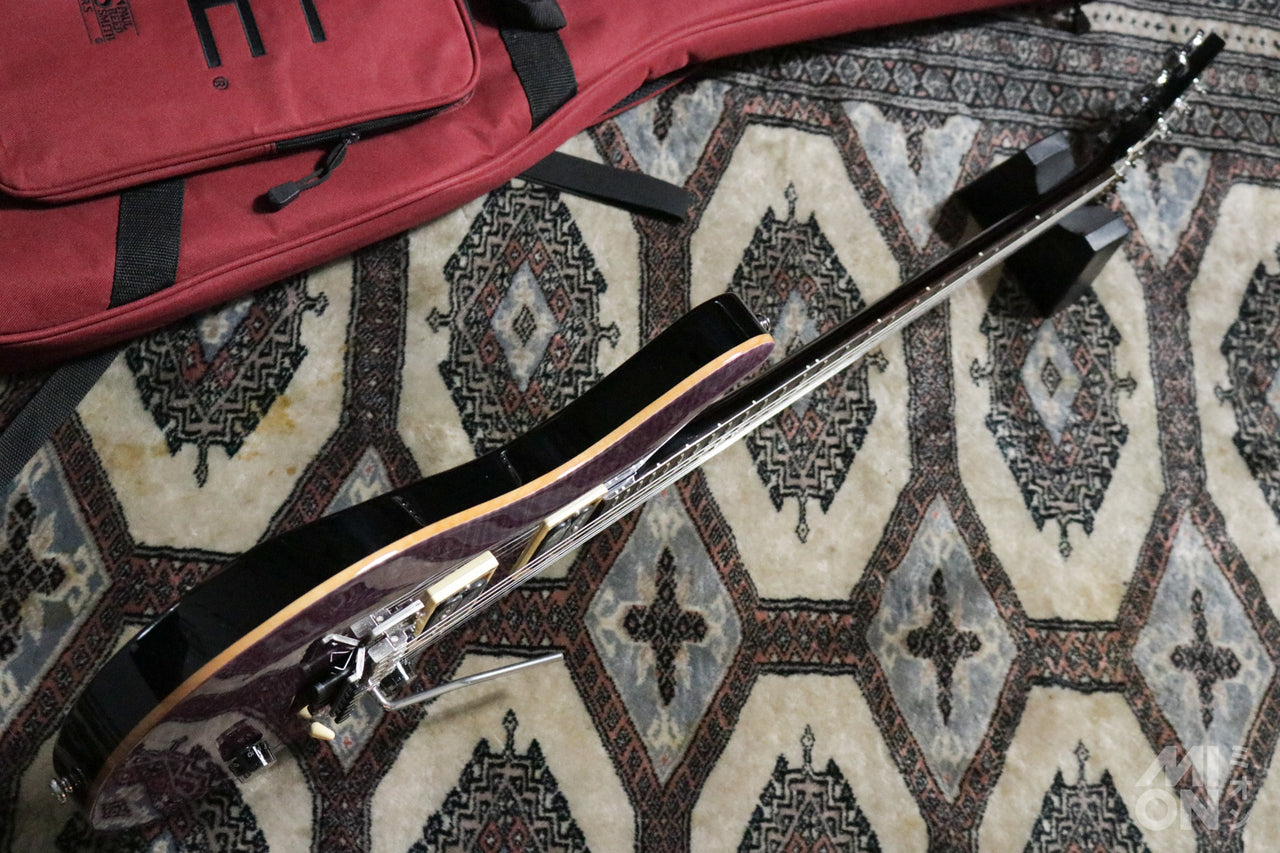 Paul Reed Smith(PRS) SE Floyd Custom24 FR Amethyst 2014