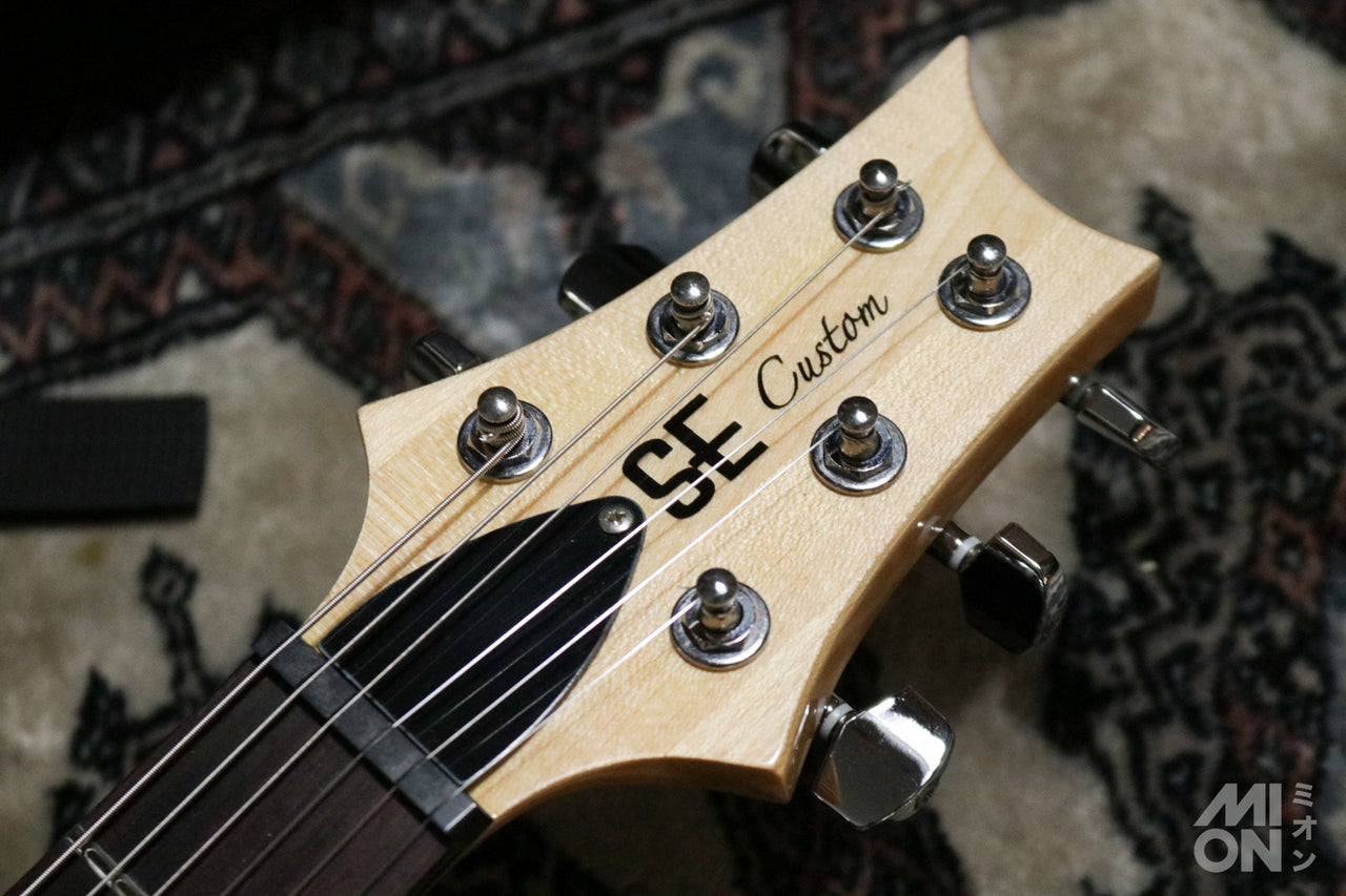 Paul Reed Smith(PRS) SE Custom24 Trampas Green 2015