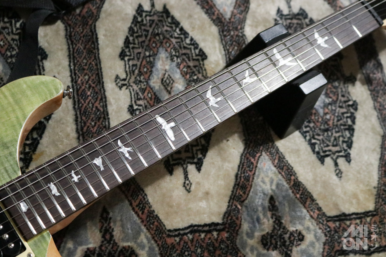 Paul Reed Smith(PRS) SE Custom24 Trampas Green 2015