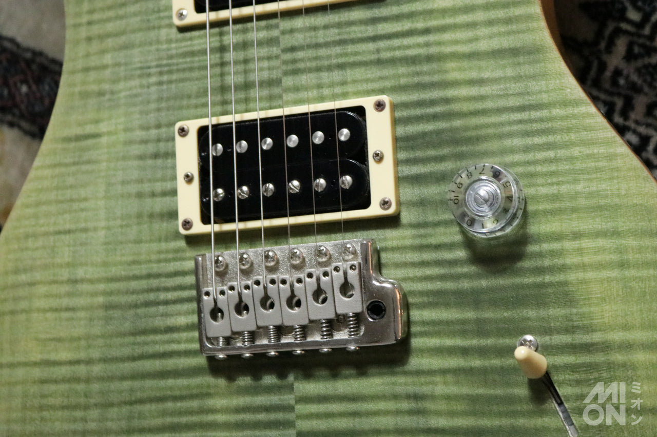 Paul Reed Smith(PRS) SE Custom24 Trampas Green 2015