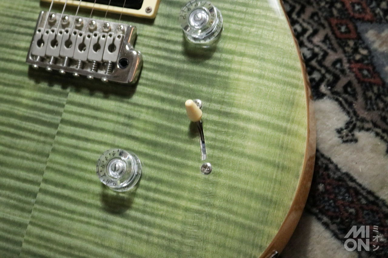 Paul Reed Smith(PRS) SE Custom24 Trampas Green 2015