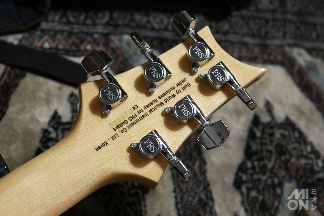 Paul Reed Smith(PRS) SE Custom24 Trampas Green 2015