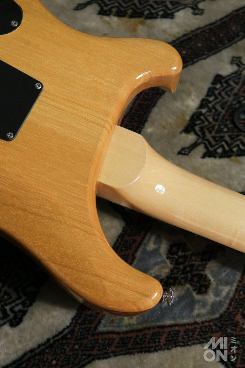 Paul Reed Smith(PRS) SE Custom24 Trampas Green 2015