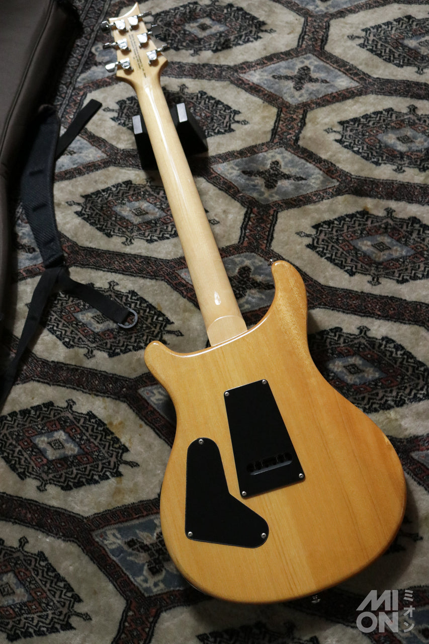 Paul Reed Smith(PRS) SE Custom24 Trampas Green 2015