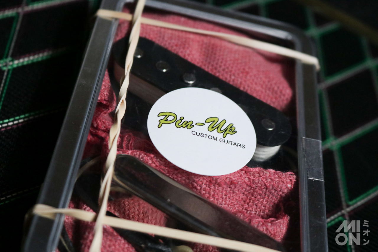 Eric Daw Custom Guitars "T" Style Pickups