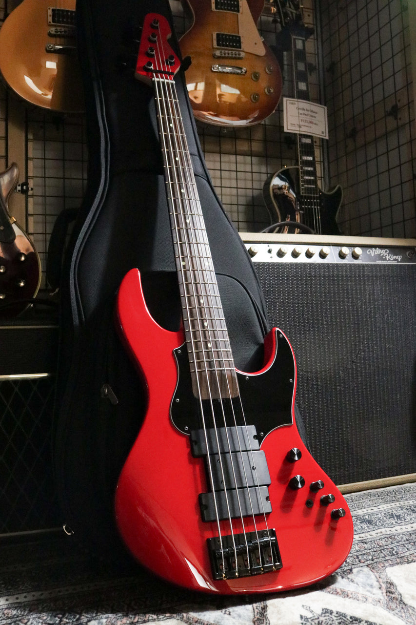 EDWARDS Platinum E-AMAZE-5-190 IKUO Signature Model