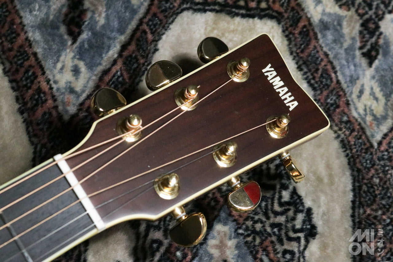 YAMAHA LS16 ARE 2019