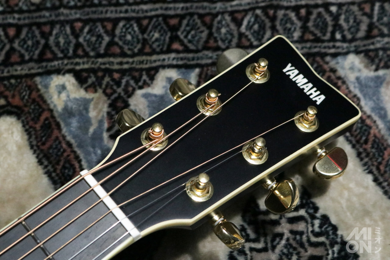 YAMAHA LL16D ARE Black (BL)