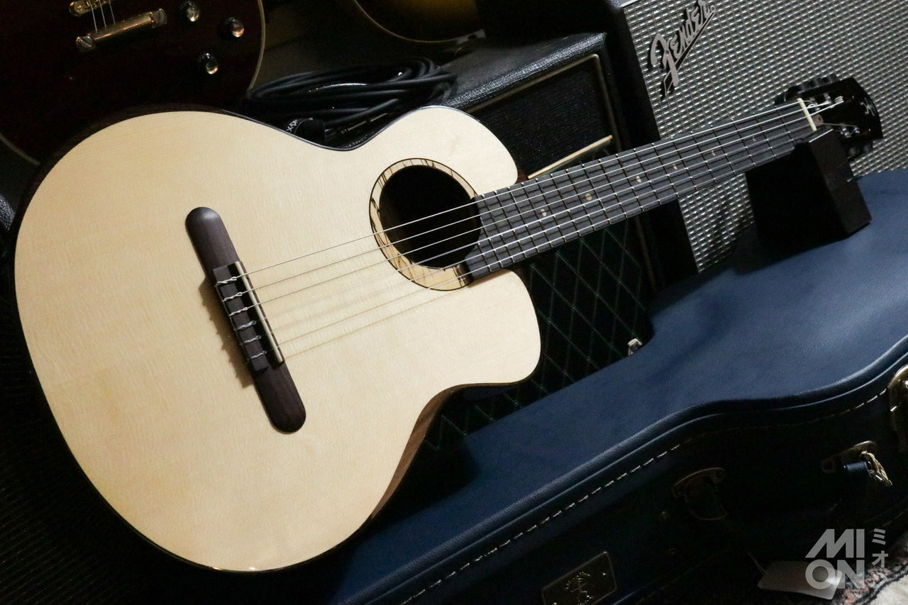 aNueNue aNN-MN214 Bird Guitar Series