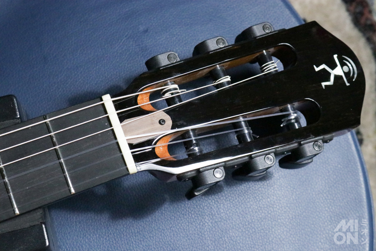 aNueNue aNN-MN214 Bird Guitar Series