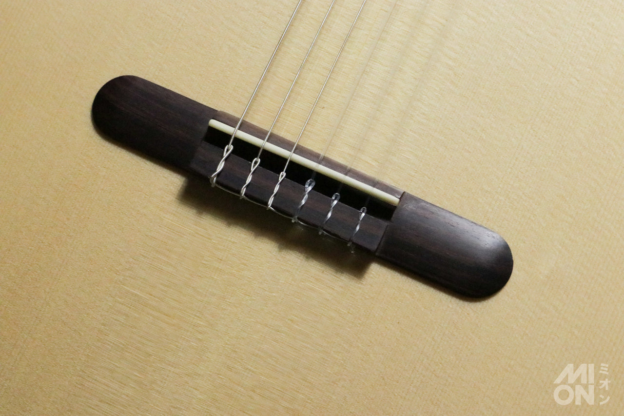 aNueNue aNN-MN214 Bird Guitar Series