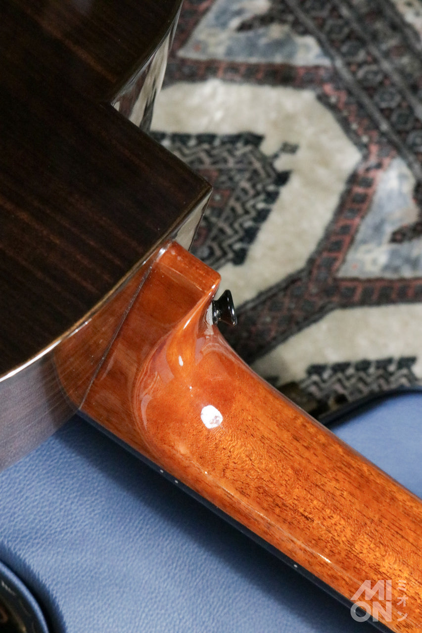 aNueNue aNN-MN214 Bird Guitar Series