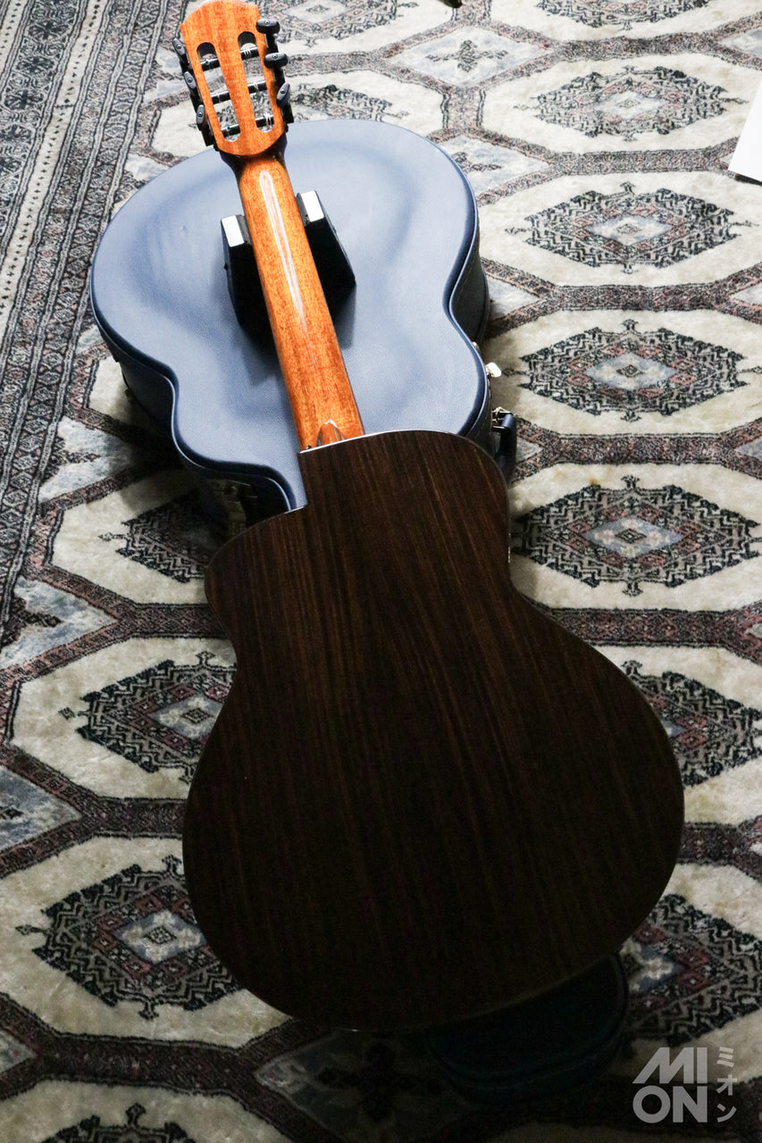 aNueNue aNN-MN214 Bird Guitar Series