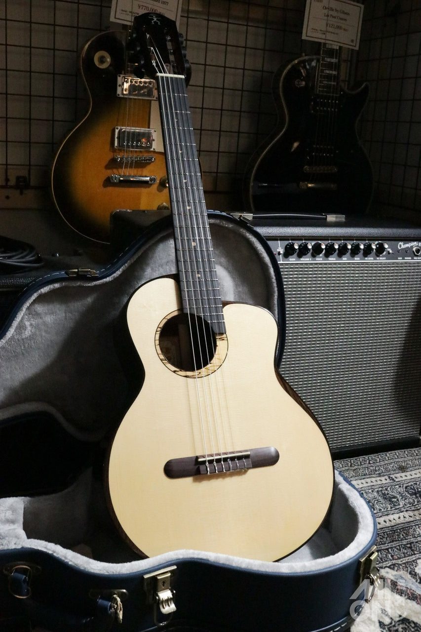 aNueNue aNN-MN214 Bird Guitar Series