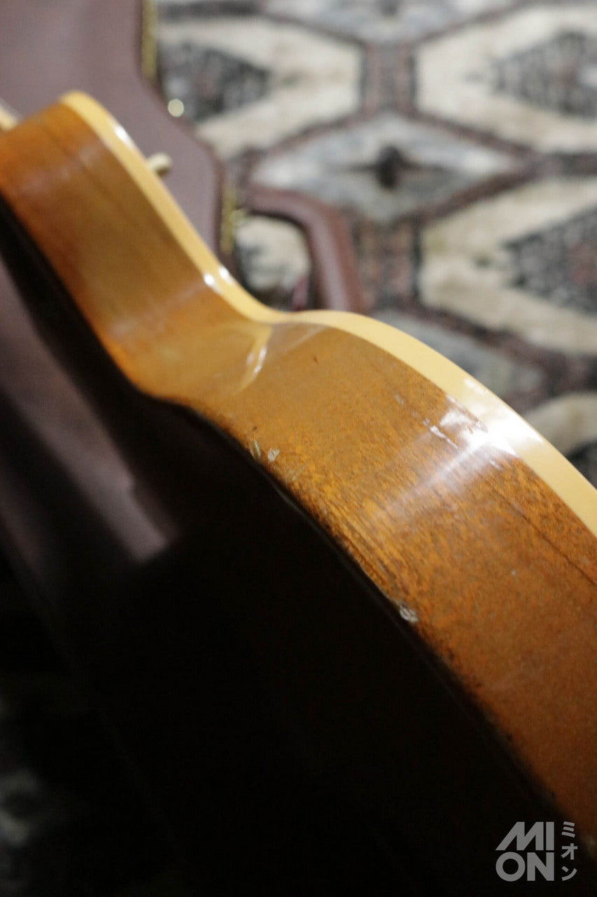 Gibson Les Paul Standard 1981