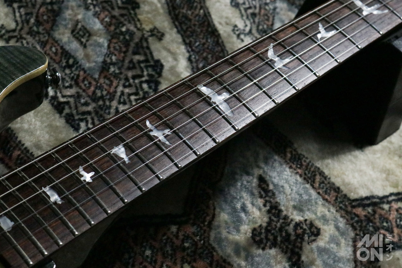 Paul Reed Smith(PRS) SE Custom24 2017 Gray Black