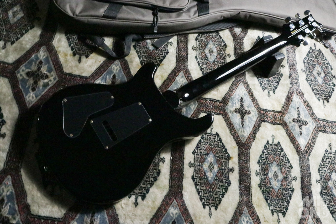 Paul Reed Smith(PRS) SE Custom24 2017 Gray Black