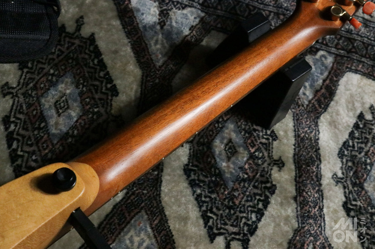 YAMAHA SLG100S (silent guitar)