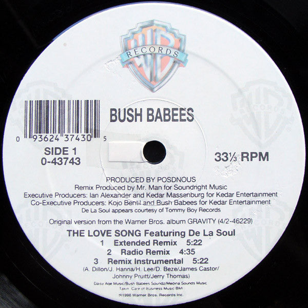 The Love Song (The Remix)