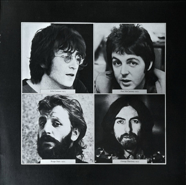 The Beatles Tapes From The David Wigg Interviews