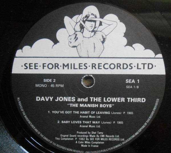 The Manish Boys / Davy Jones And The Lower Third