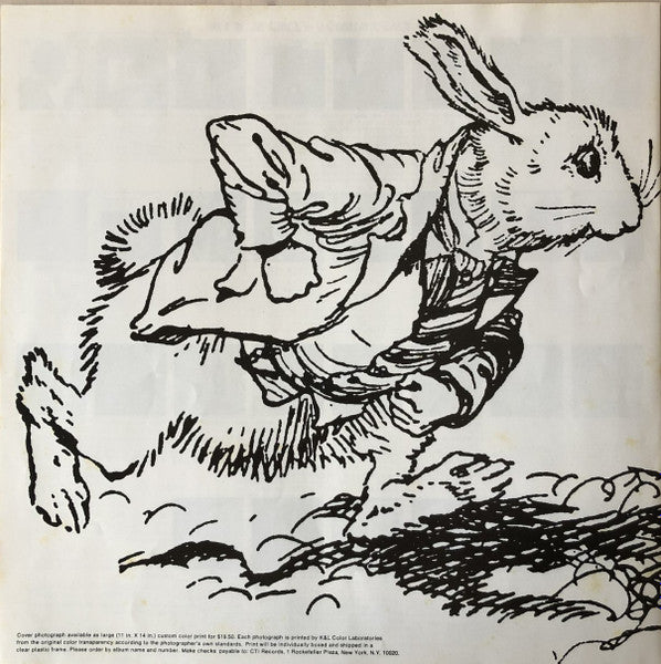 White Rabbit