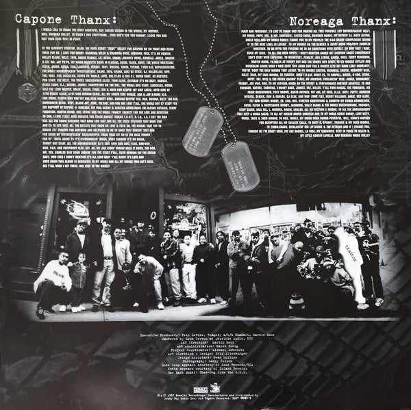 Faster Than The Speed Of Night