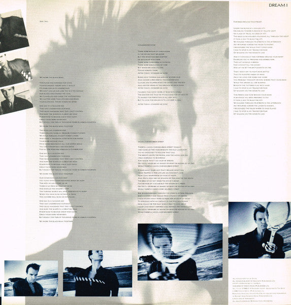 The Dream Of The Blue Turtles