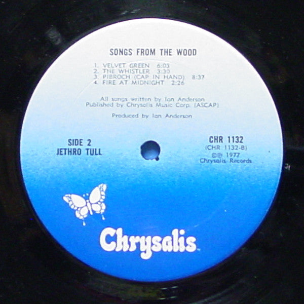 Songs From The Wood