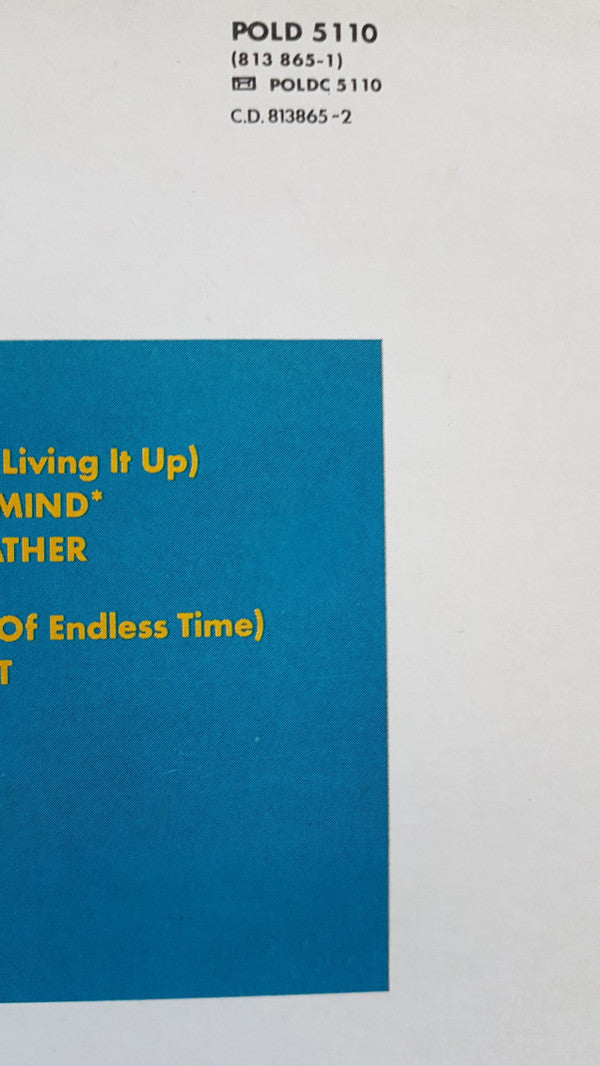 Standing In The Light