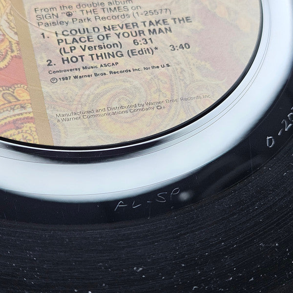 I Could Never Take The Place Of Your Man